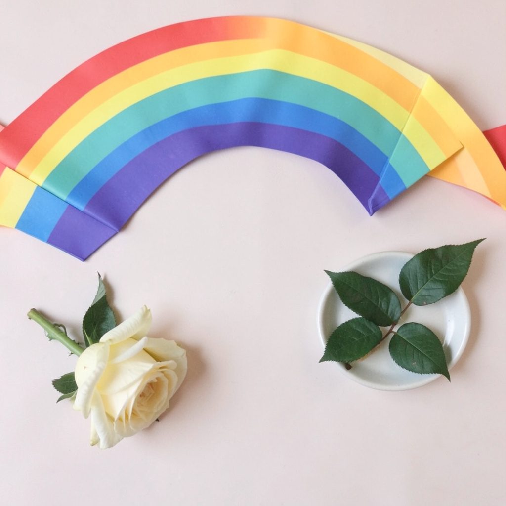 A cropped banner featuring a rainbow rose, with soft pink, yellow, green, and blue petals blending together in a warm, hopeful gradient against a dark background.